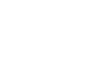 coni_logo-white